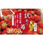 いちご 令和9年2月上旬頃出荷開始予定