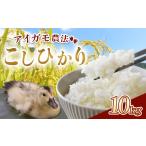 米 コシヒカリ 10kg