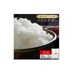 米 コシヒカリ ハナエチゼン 精米 20kg