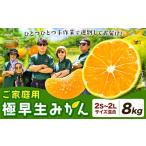 みかん ご 柑橘 極早生 極早生みかん 手選別