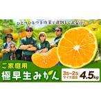 みかん ご 柑橘 極早生 極早生みかん 手選別