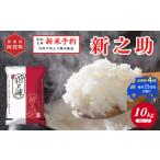 米 定期便 全4回 10kg