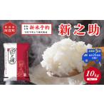 米 定期便 全5回 10kg
