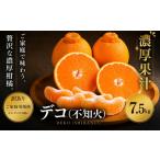 果物類 みかん 訳あり 産デコ 合計約7.5kg