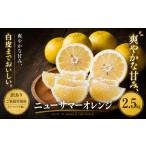 果物類 みかん 訳あり 産ニューサマーオレンジ