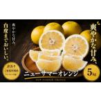 果物類 みかん 訳あり 産ニューサマーオレンジ