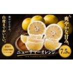果物類 みかん 訳あり 産ニューサマーオレンジ