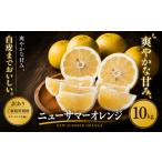 果物類 みかん 訳あり 産ニューサマーオレンジ