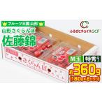 果物類 さくらんぼ GCF フルーツ王国山形