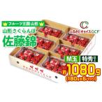 果物類 さくらんぼ GCF フルーツ王国山形