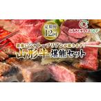 牛肉 サーロイン GCF 定期便12回 最後にシャトーブリアンが…