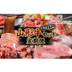 牛肉 サーロイン GCF 定期便12回 山形牛セット定期便