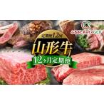 牛肉 サーロイン GCF 12回定期便 山形牛12ヶ月定期便