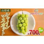 ぶどう マスカット GCF シャインマスカット 約700g