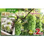ぶどう GCF 風間ナイヤガラ 約2kg