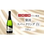 ワイン スパークリングワイン 自園自醸ワイン紫波