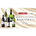 自園自醸ワイン紫波 赤 白 スパークリングワイン
