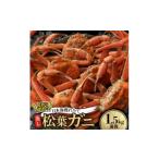 カニ 訳あり足が折れた蒸し松葉ガニ1.5kg前後