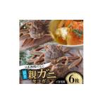 カニ 活き 日本海産獲れたて親ガニ セコガニ 6枚