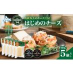 加工品等 チーズ はじめのチーズ 100g