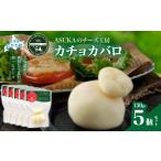 加工品等 チーズ カチョカバロ 130g
