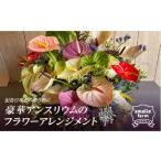 花 豪華アンスリウムのフラワーアレンジメント