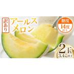 メロン メロン青肉 訳あり アールスメロン 2玉