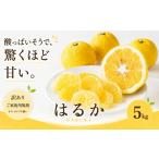 2027年2月上旬~3月下旬迄に 出荷予定