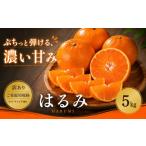 2027年2月上旬~3月下旬迄に 出荷予定