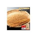 米 コシヒカリ ハナエチゼン 玄米 20kg