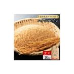米 コシヒカリ 定期便12回 ハナエチゼン