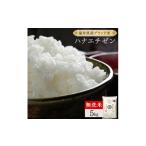 米 コシヒカリ 定期便12回 ハナエチゼン無洗米 5kg