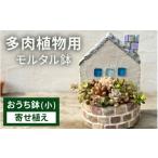 モルタル造形おうち鉢 小 と多肉植物の寄せ植え
