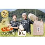 米 令和7年度産 ハツシモ 精米 10kg