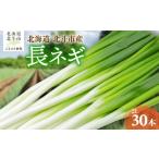 野菜類 長ネギ 2L