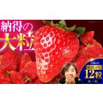 いちご 自分へのご褒美に 大洲の厳選高級いちご
