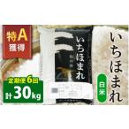 無洗米 6ヶ月定期便 令和8年産 新米 福井のブランド米