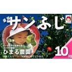 りんご 盛岡産 サンふじ 10kg