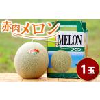 メロン メロン赤肉 赤肉 1玉入