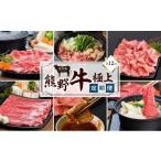 牛肉 サーロイン 定期便全12回 熊野牛 極上定期便セット