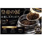 魚貝類 キャビア お試しキャビア 皇帝の涙 20g