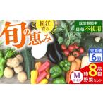 セット 詰合せ 野菜 定期便 こだわりの新鮮野菜