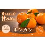 2027年1月上旬~3月上旬迄に 出荷予定