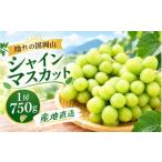 晴れの国岡山 特大シャインマスカット 1房750g以上
