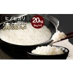 米 ヒノヒカリ 令和8年産 清流川辺川米 約5kg