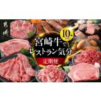 牛肉 セット 10回定期便 宮崎牛でレストラン気分