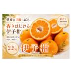 2027年1月上旬~2月下旬迄に 出荷予定