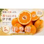2027年1月上旬~2月下旬迄に 出荷予定