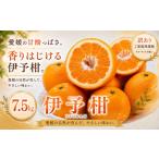 2027年1月上旬~2月下旬迄に 出荷予定
