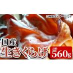 山菜 きのこ 生きくらげ 約80g×7P